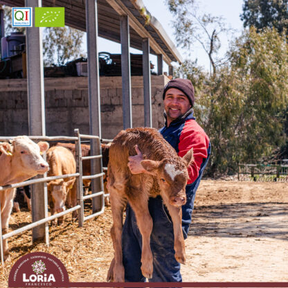 Visita guidata